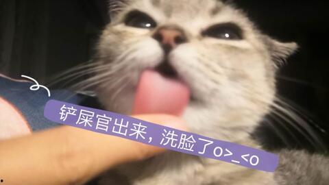 娱乐吃瓜酱猫妈,吴冕演绎年代剧中的坚强母亲形象