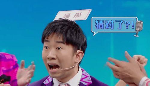 娱乐吃瓜猫杨迪,娱乐圈吃瓜猫的逆袭之路