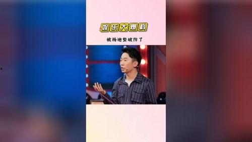 娱乐吃瓜猫杨迪,娱乐圈吃瓜猫的逆袭之路