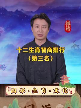 娱乐吃瓜创作的原声