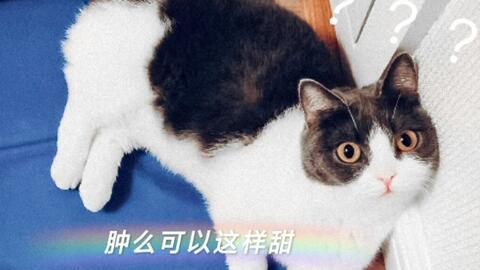 娱乐圈cp小说吃瓜,揭秘明星甜蜜互动背后的秘密瓜