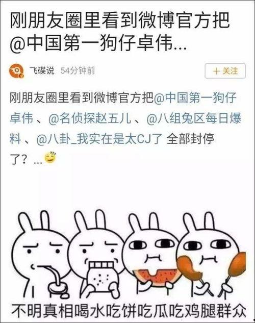 娱乐吃瓜大事件,揭秘年度最热吃瓜大事件