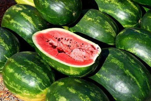 娱乐吃瓜素材视频大全,笑料百出，精彩纷呈！