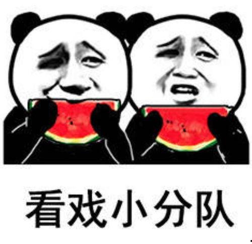 吃瓜不分年龄娱乐搞笑,吃瓜不分年龄，欢乐共享的娱乐盛宴