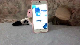 吃瓜妹娱乐的语音,揭秘娱乐圈幕后故事，带你领略明星真实生活