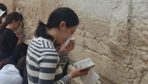 娱乐吃瓜君的号